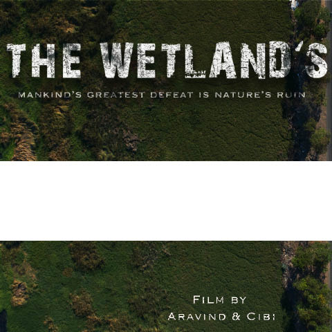 The Wetland's Wail
